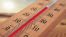 Olot comptarà amb un pla d’actuació contra la calor intensa