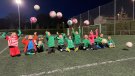 Besalú renovarà la gespa artificial del camp de futbol a la tardor