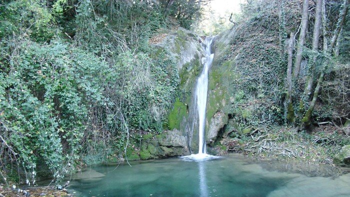 Riudaura ja compta amb un informador a la zona dels gorgs