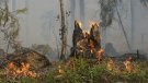 Respectar les indicacions és una de les claus per evitar incendis forestals