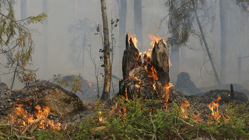 Respectar les indicacions és una de les claus per evitar incendis forestals
