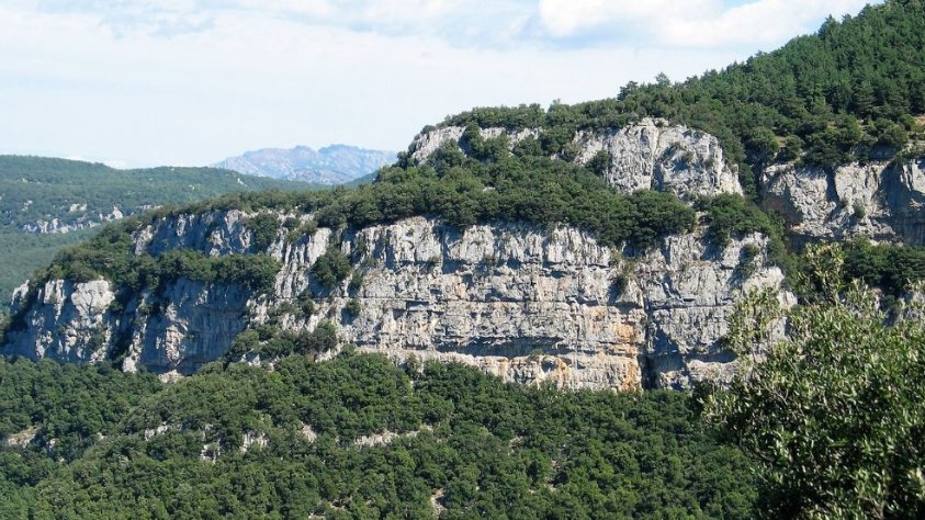 Foto: Conscorci de l'Alta Garrotxa