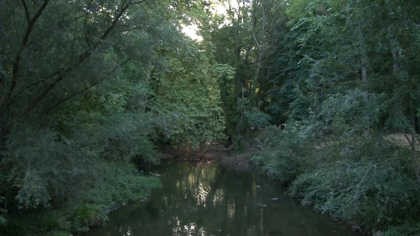 La falta d'aigua als rius de la Garrotxa és una tendència cada cop més preocupant, segons Acció Climàtica