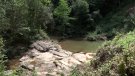 Es continuen detectant actituds incíviques al medi natural