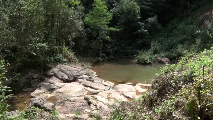 Es continuen detectant actituds incíviques al medi natural