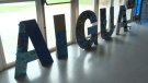 El Festival Entranyes inaugura una exposició del riu Fluvià en el seu pas pel barri de Sant Miquel