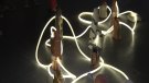 “Fang. Identitats Híbrides” és la nova exposició del Museu de la Garrotxa