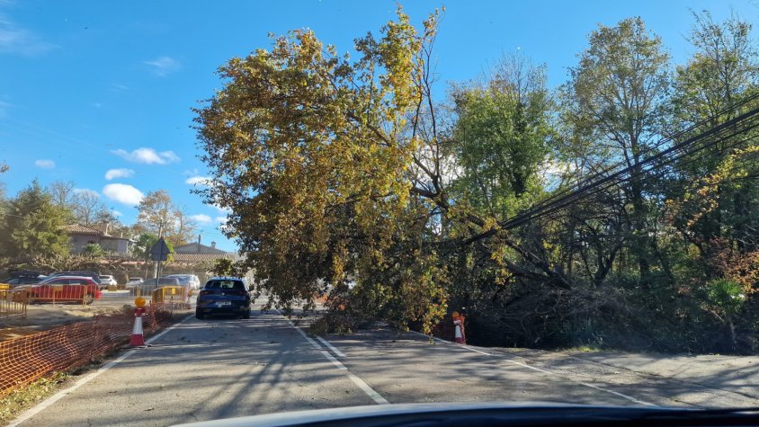 Un arbre cau sobre una estructura elèctrica a Santa Pau i genera un petit incendi 