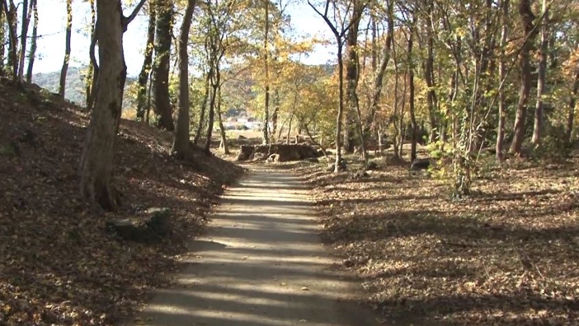 El bosquet de l'Hospital d'Olot segueix creixent i dotant-se de nous espais on poder-hi fer activitats