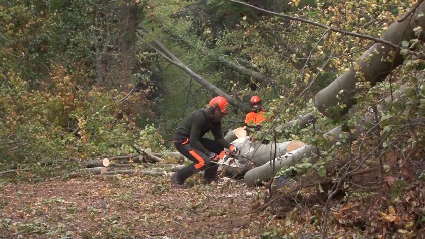 Els canvis meteorològics extrems preocupen a empreses del sector forestal a la Garrotxa