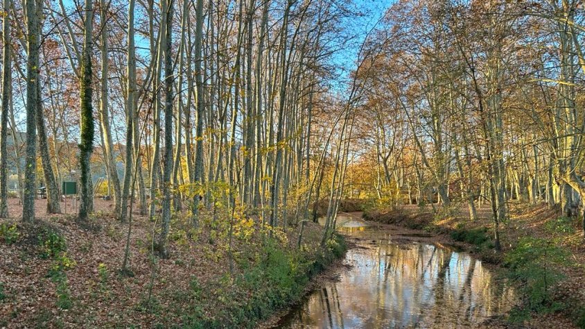 La Garrotxa viu, aquests dies, la màxima esplendor de la tardor