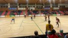 L'Hoquei Olot recupera el bon joc i empata a Sant Cugat (4-4)