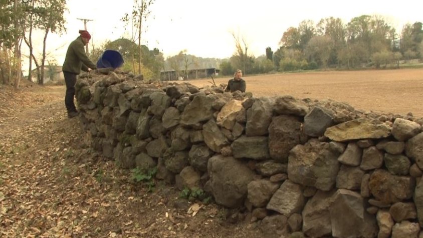 Pacients de l'Hospital d'Olot ajuden a recuperar el mur de pedra seca del bosquet