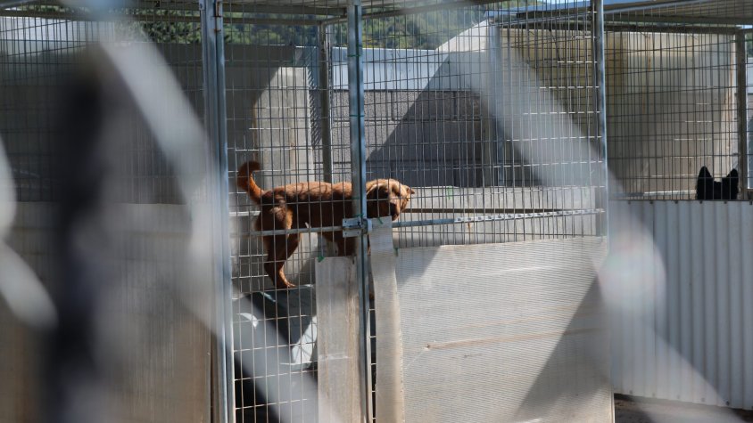 El Consell Comarcal de la Garrotxa preveu començar les obres de millora de Can Mali a principis del 2024