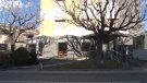 Previsions d’ocupació d’un 80% a la Garrotxa en el Pont de la Puríssima