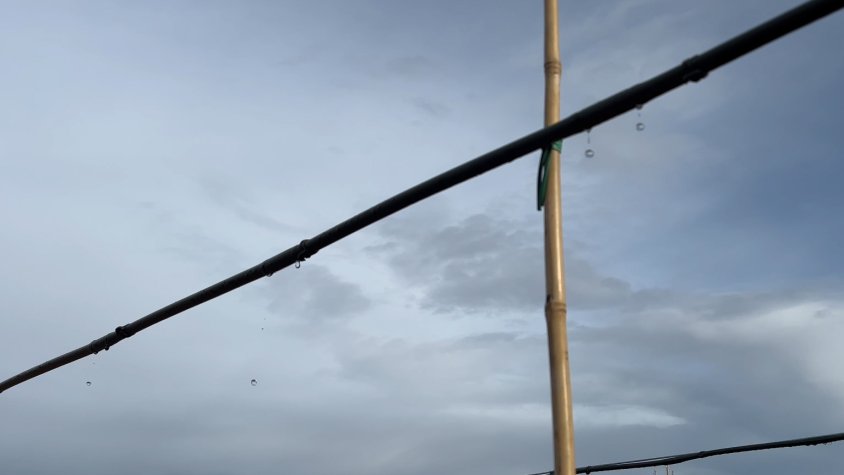 La Generalitat flexibilitza les restriccions per sequera a pagesos, ramaders i viveristes que fan ús eficient de l'aigua