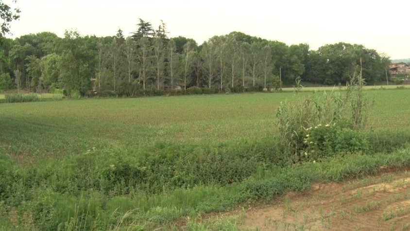 Esbrinar la recurrència de les erupcions volcàniques a la Garrotxa