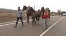Ensurt amb final feliç a Besalú i Sant Ferriol: s'escapen 7 cavalls d'una hípica i salten a la carretera