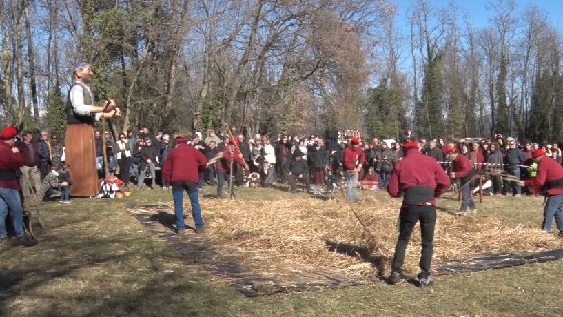 Batet de la Serra celebra aquest diumenge la fira del fajol tot i la mala collita