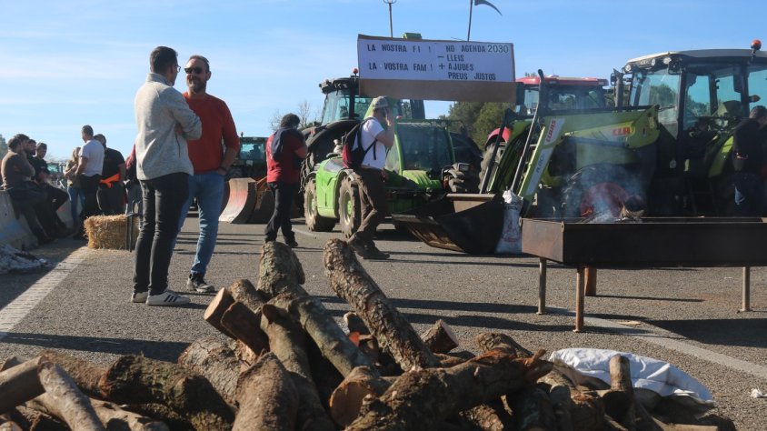 Imatge dels talls a càrrec dels pagesos gironins | ACN