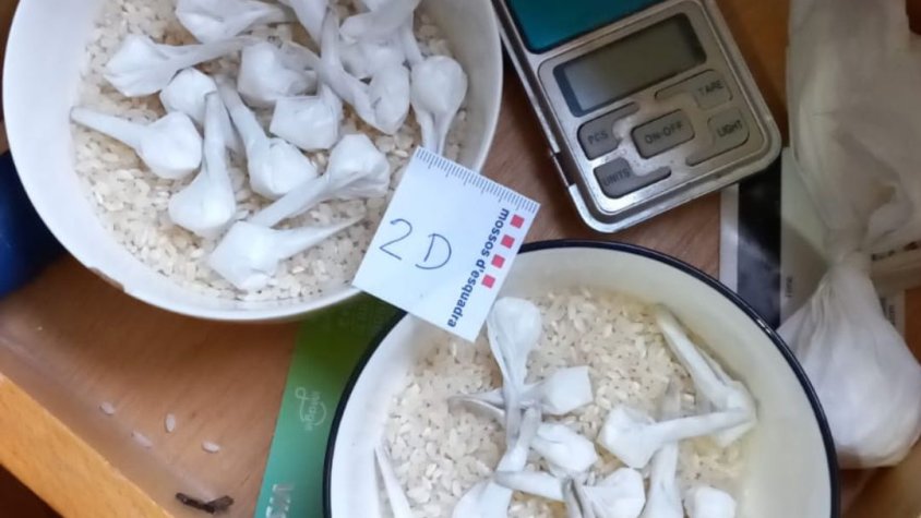 Els Mossos d’Esquadra detenen quatre persones i desmantellen dos importants punts de venda de droga al barri de les Tries d’Olot