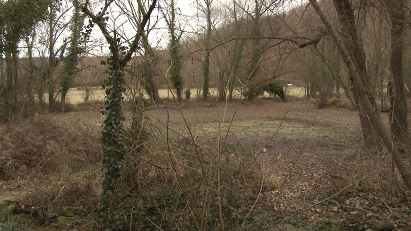 La sequera podria suposar una reducció d’espècies invasores?