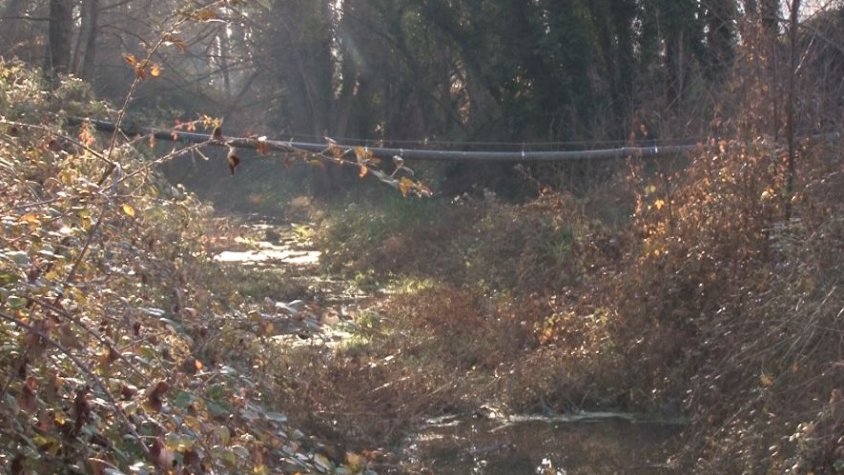 Sant Aniol de Finestres centra les inversions a l'edifici de la rectoria, les canonades a St. Esteve de Llémena i la urbanització de les Carreres 