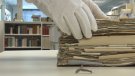 Els Vayreda cedeixen part del seu arxiu històric a l’Arxiu Comarcal