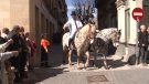 La Festa de Sant Antoni celebra 70 anys a Olot