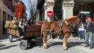 La Festa de Sant Antoni d’Olot arriba als seus 70 anys amb una participació de 107 cavalls