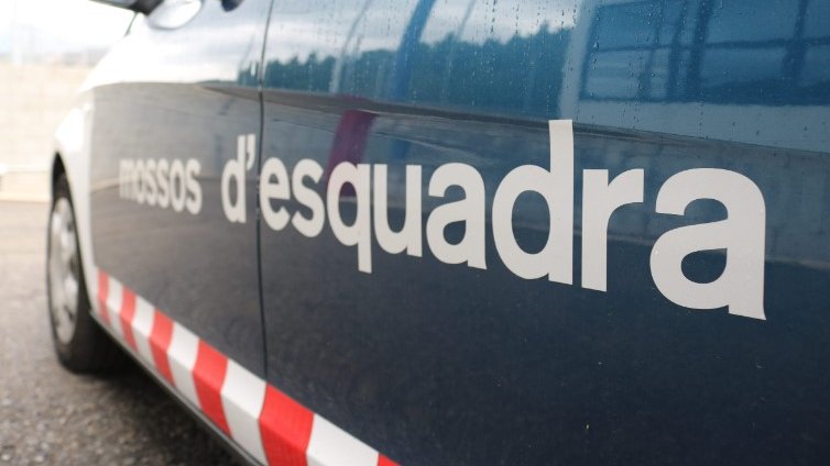 Es redueixen gairebé a la meitat els robatoris en domicilis a Olot respecte fa un any