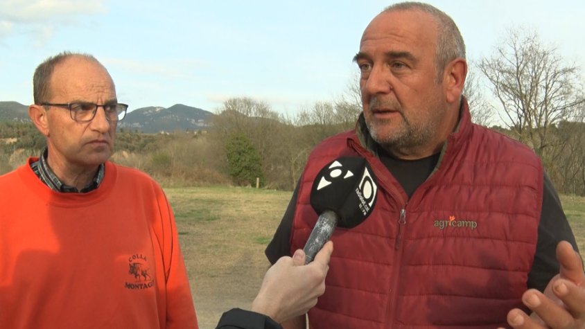 Els pagesos de l’Alta Garrotxa, preocupats per l’augment de cérvols que hi està havent a la zona
