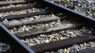La comissió promotora del tren tram entre Olot-Banyoles-Girona es mostra decebuda per falta d’avenços en l’estudi de viabilitat