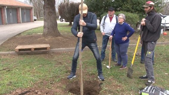 Les Preses celebra la 32a edició de la planta d'arbres