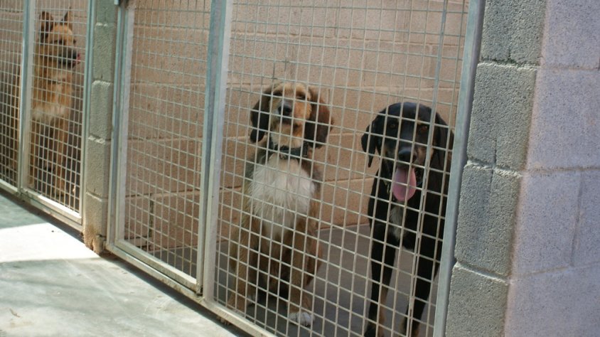 El Consell Comarcal de la Garrotxa destinarà 400.000 euros a la millora dels accessos a Can Mali