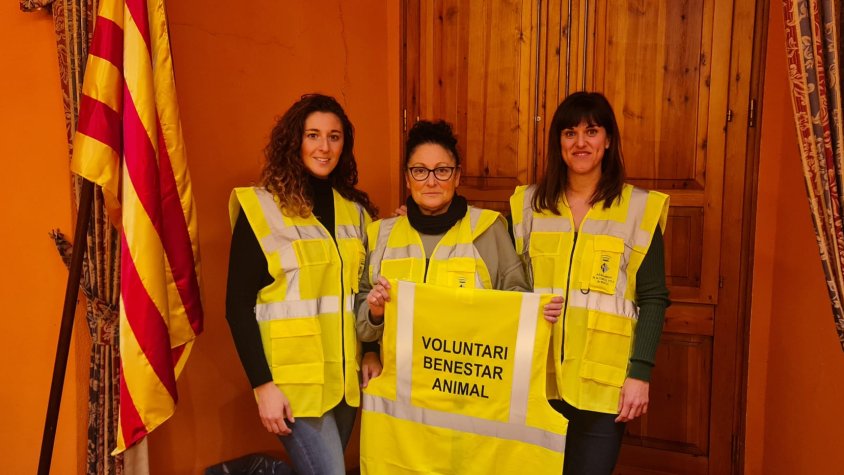 Besalú crea un grup de voluntariat per controlar les colònies de gats