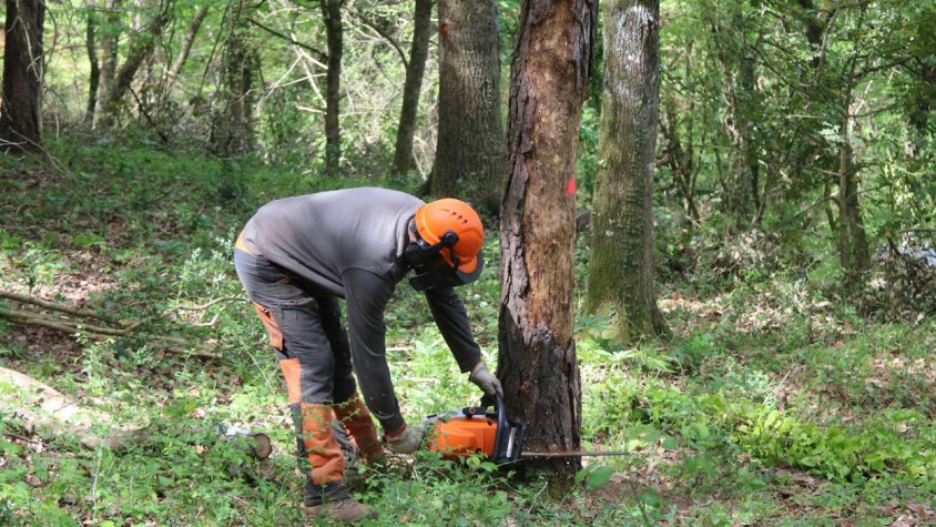 Olot Meats obté el certificat de crèdits climàtics