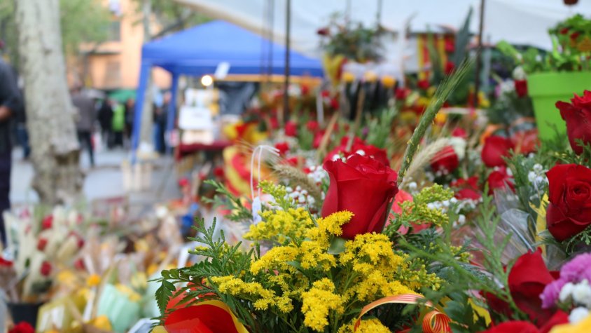 Olot es prepara per Sant Jordi