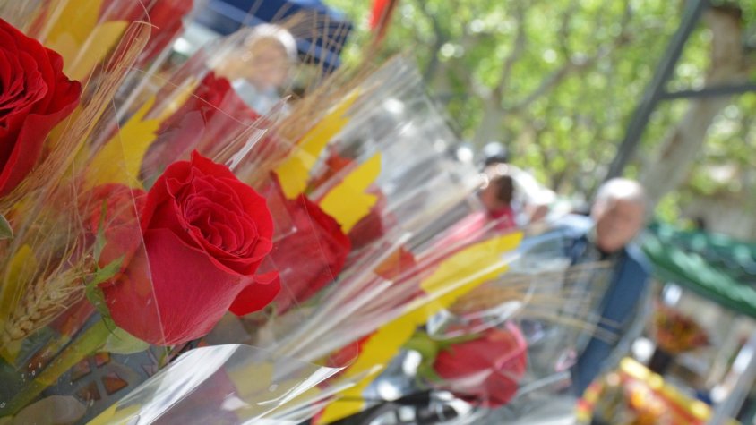 Olot es desborda per Sant Jordi