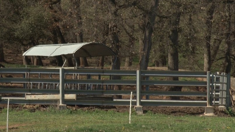 ADRINOC inicia un projecte per ajudar a propiciar relleus agraris al camp a la Garrotxa