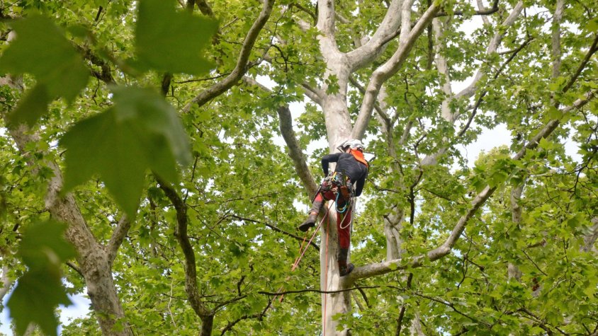 Comencen les actuacions de millora de l’entorn del Parc Nou