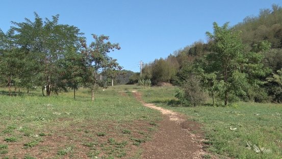 La secretària d’Acció Climàtica diu que la compra dels terrenys de la Garrinada es retardarà pel fet de no haver pogut aprovar nous pressupostos