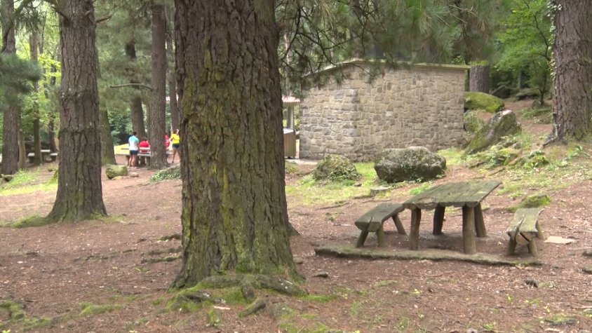 L’Ajuntament de la Vall d’en Bas s’està plantejant prohibir l’ús de les barbacoes a l’àrea recreativa dels Pins de Sant Privat aquest estiu