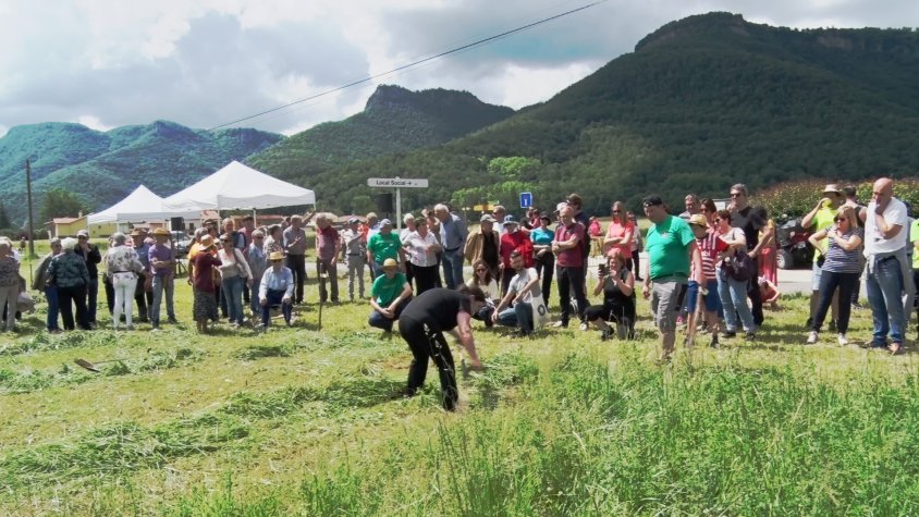 La Vall d’en Bas celebra el Dia de la Dalla amb activitats per a totes les edats