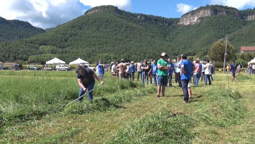 Una quarantena de dalladors participen al Dia de la Dalla d'Hostalets d’en Bas