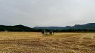L’Agrofest reivindica la tasca dels pagesos i els productes de la Vall d’en Bas