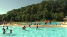 Les escoles d’Olot s’acomiaden del curs escolar a la Piscina Municipal