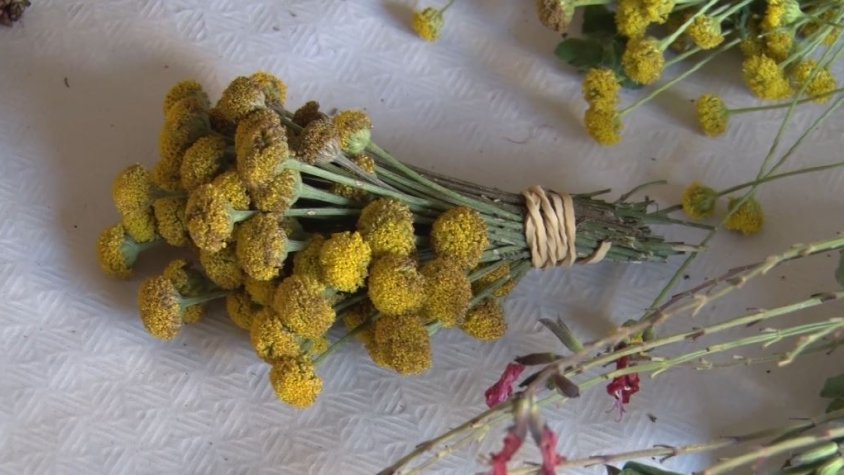L’Ajuntament de Besalú organitza una matinal de recollida d’herbes perquè els assistents puguin preparar la seva ratafia per l’Herbesalú