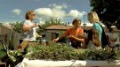 Quines plantes es necessiten per fer ratafia?
