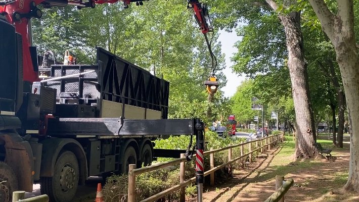 "La gent no hauria de patir per l’estat de l’arbrat de la ciutat d’Olot"